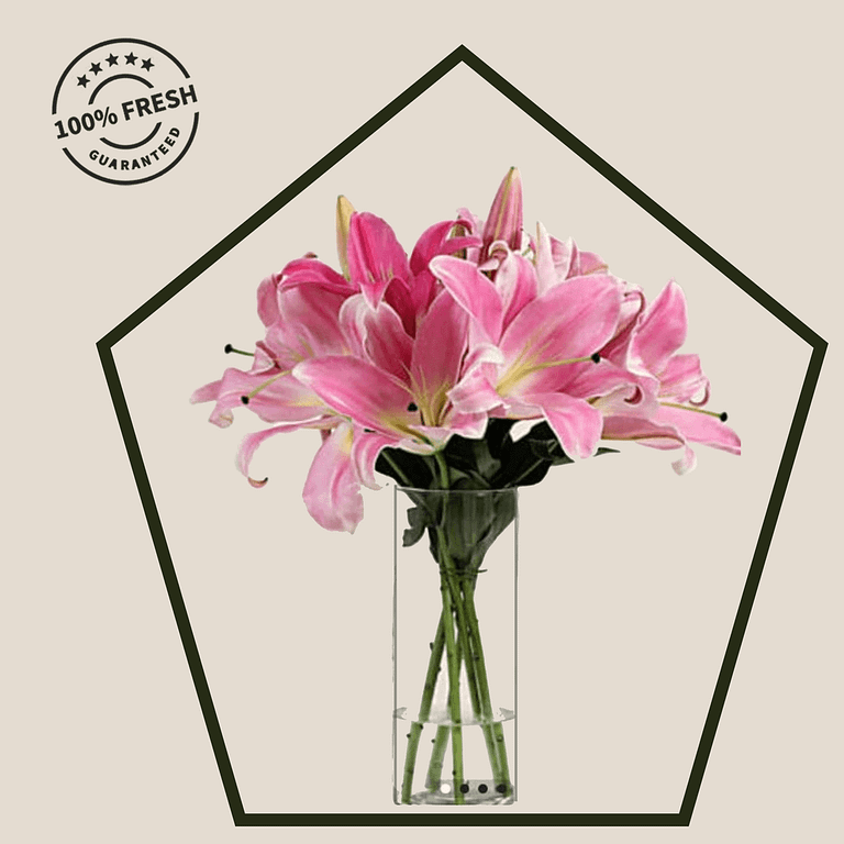 Pink Lillies Vase